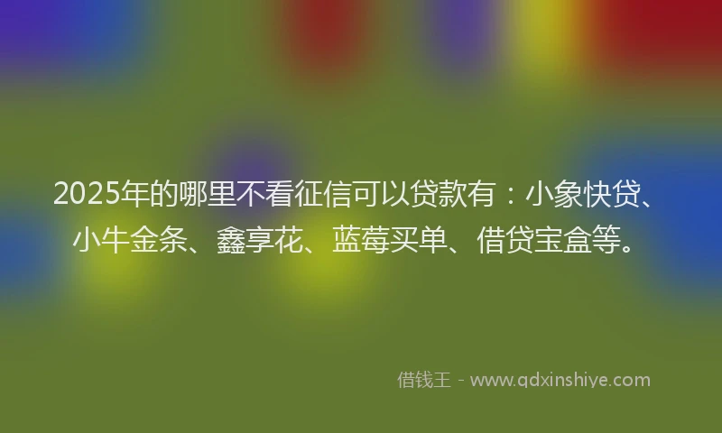 2025年的哪里不看征信可以贷款有：小象快贷、小牛金条、鑫享花、蓝莓买单、借贷宝盒等。