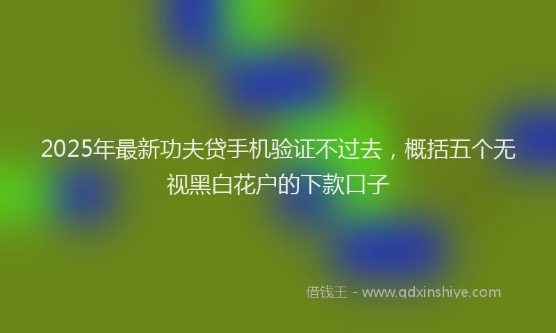 2025年最新功夫贷手机验证不过去，概括五个无视黑白花户的下款口子