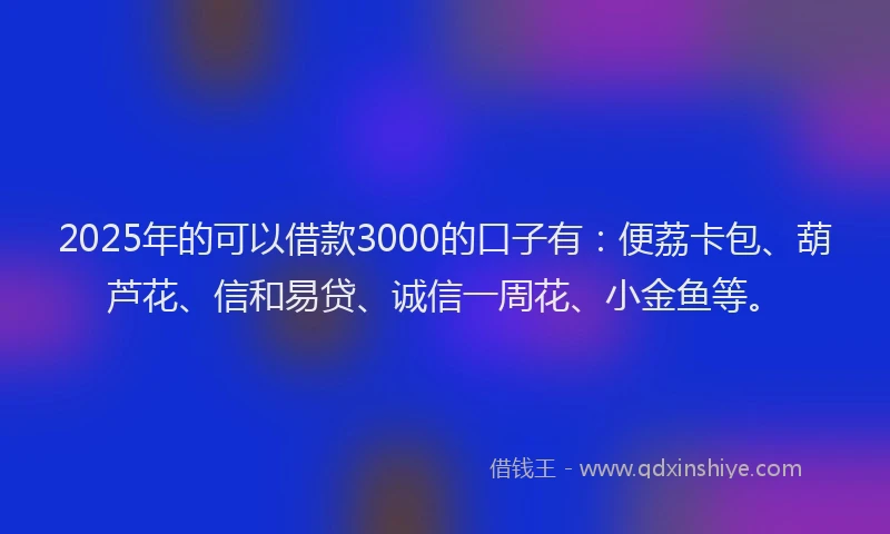 2025年的可以借款3000的口子有：便荔卡包、葫芦花、信和易贷、诚信一周花、小金鱼等。