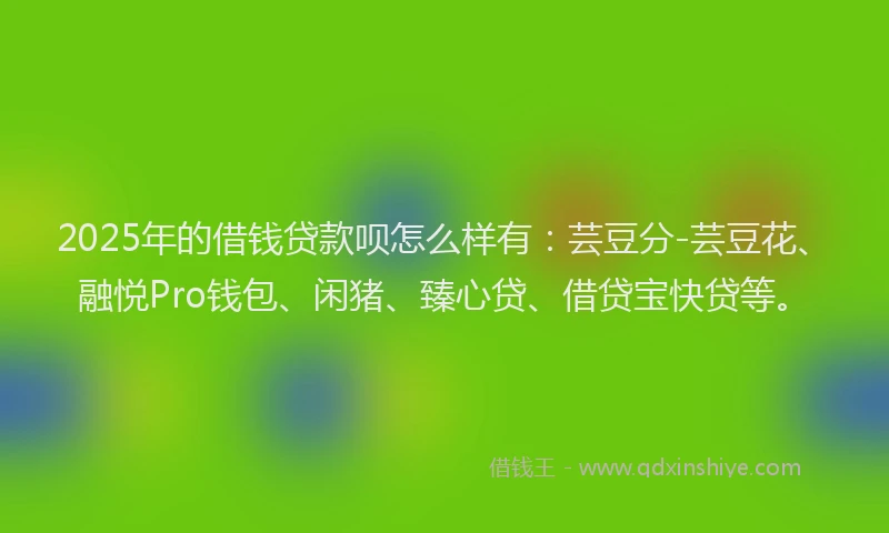 2025年的借钱贷款呗怎么样有：芸豆分-芸豆花、融悦Pro钱包、闲猪、臻心贷、借贷宝快贷等。