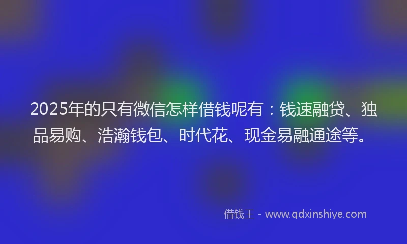 2025年的只有微信怎样借钱呢有：钱速融贷、独品易购、浩瀚钱包、时代花、现金易融通途等。