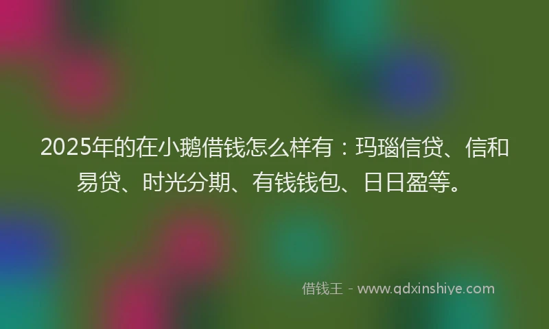 2025年的在小鹅借钱怎么样有：玛瑙信贷、信和易贷、时光分期、有钱钱包、日日盈等。