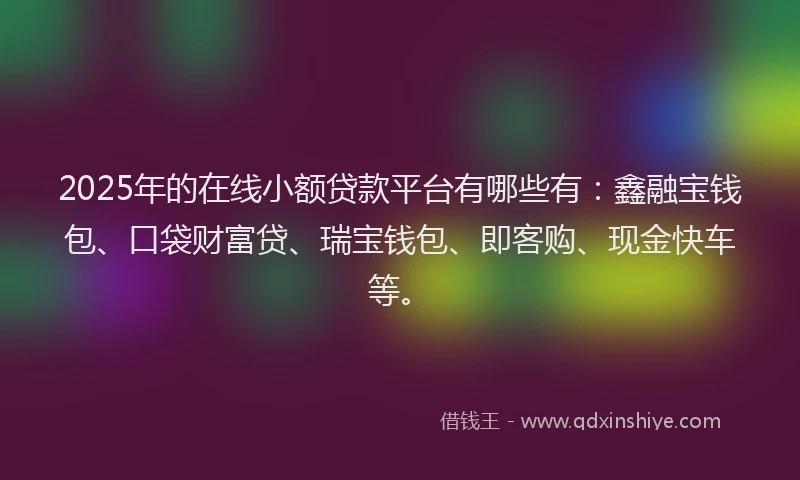2025年的在线小额贷款平台有哪些有：鑫融宝钱包、口袋财富贷、瑞宝钱包、即客购、现金快车等。