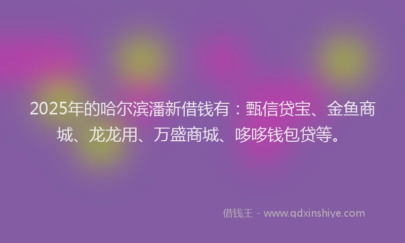 2025年的哈尔滨潘新借钱有：甄信贷宝、金鱼商城、龙龙用、万盛商城、哆哆钱包贷等。