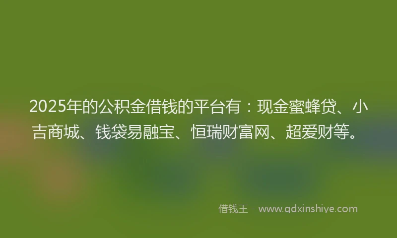 2025年的公积金借钱的平台有：现金蜜蜂贷、小吉商城、钱袋易融宝、恒瑞财富网、超爱财等。
