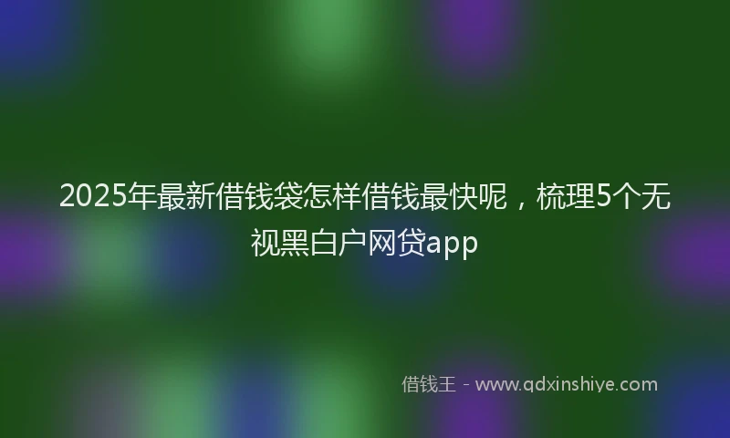 2025年最新借钱袋怎样借钱最快呢，梳理5个无视黑白户网贷app