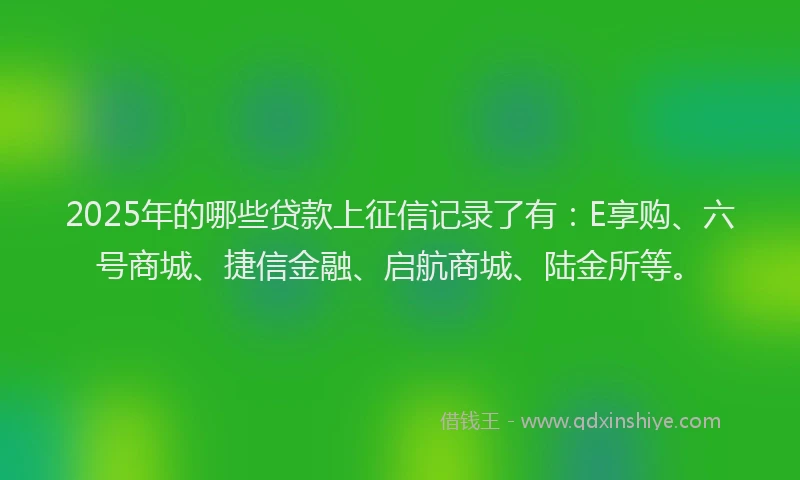 2025年的哪些贷款上征信记录了有：E享购、六号商城、捷信金融、启航商城、陆金所等。