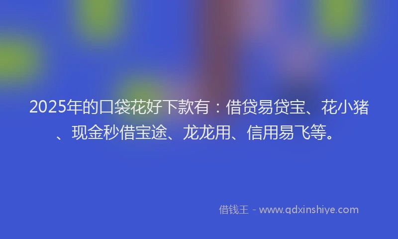 2025年的口袋花好下款有：借贷易贷宝、花小猪、现金秒借宝途、龙龙用、信用易飞等。