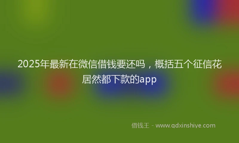 2025年最新在微信借钱要还吗，概括五个征信花居然都下款的app
