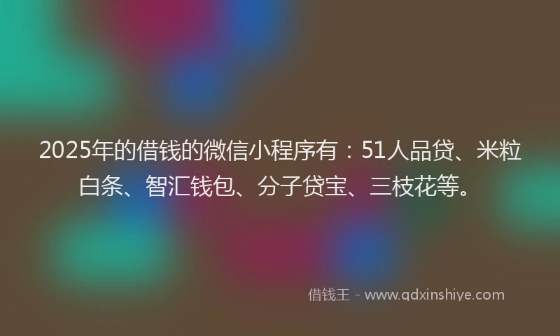 2025年的借钱的微信小程序有：51人品贷、米粒白条、智汇钱包、分子贷宝、三枝花等。