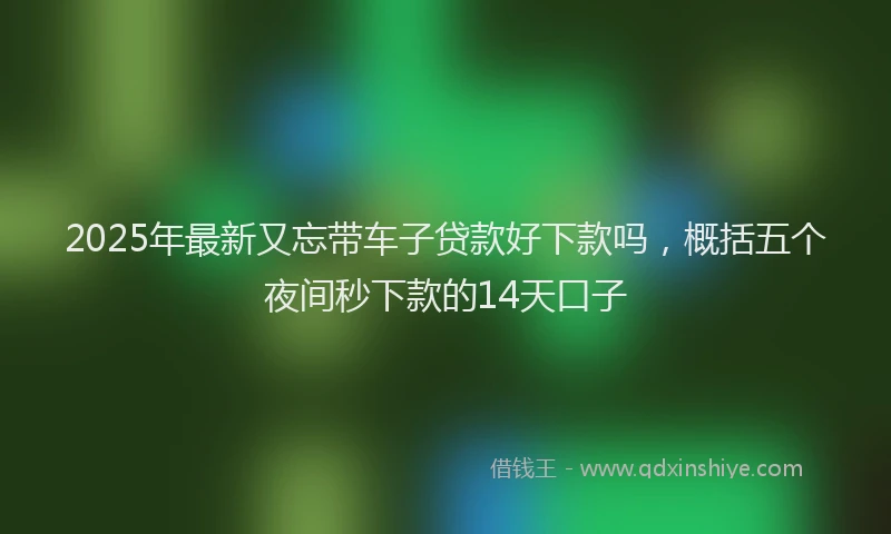 2025年最新又忘带车子贷款好下款吗，概括五个夜间秒下款的14天口子