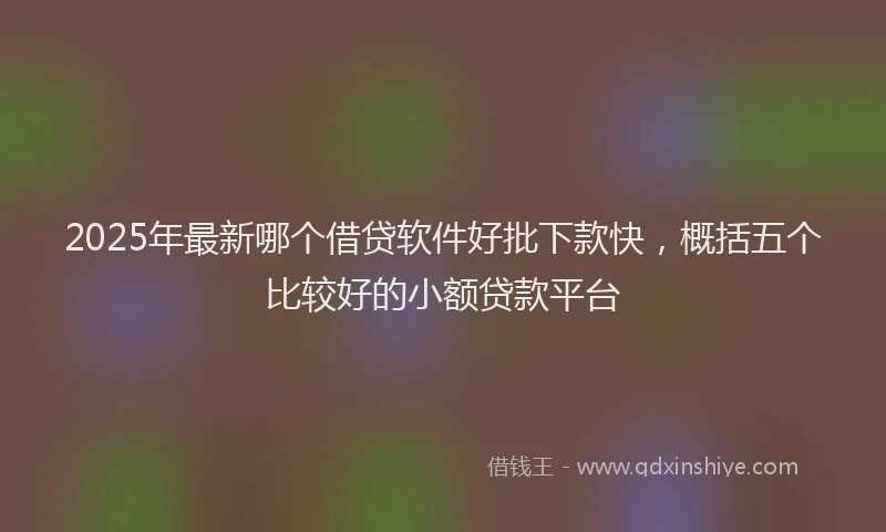 2025年最新哪个借贷软件好批下款快，概括五个比较好的小额贷款平台