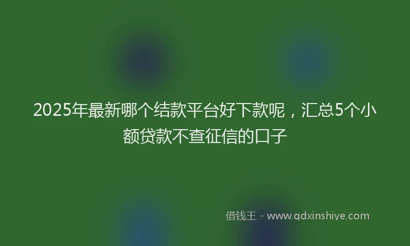 2025年最新哪个结款平台好下款呢，汇总5个小额贷款不查征信的口子