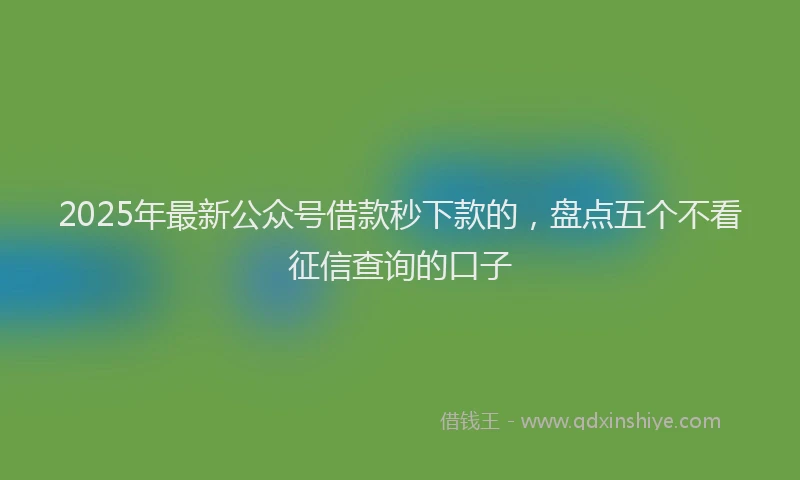 2025年最新公众号借款秒下款的，盘点五个不看征信查询的口子