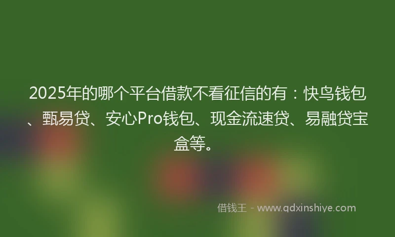 2025年的哪个平台借款不看征信的有：快鸟钱包、甄易贷、安心Pro钱包、现金流速贷、易融贷宝盒等。