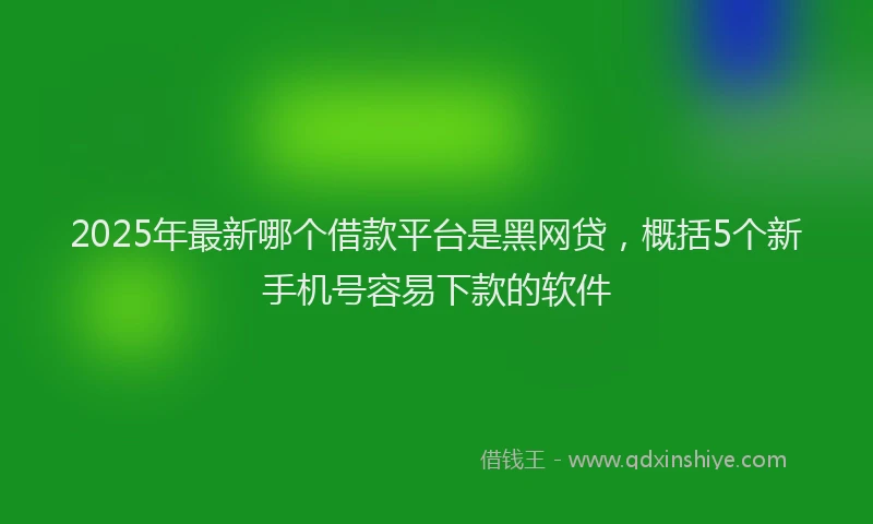 2025年最新哪个借款平台是黑网贷，概括5个新手机号容易下款的软件
