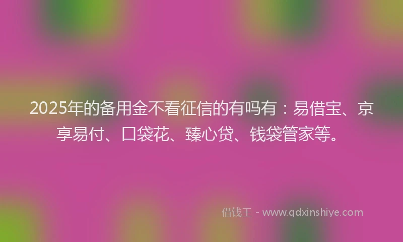 2025年的备用金不看征信的有吗有：易借宝、京享易付、口袋花、臻心贷、钱袋管家等。