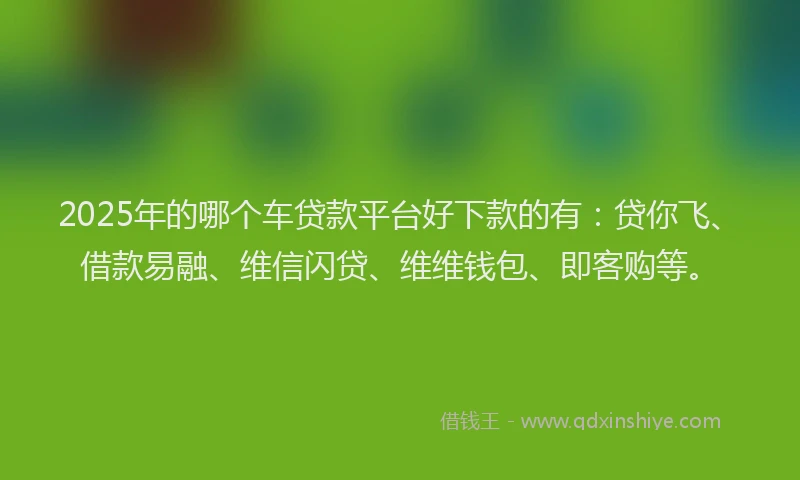 2025年的哪个车贷款平台好下款的有：贷你飞、借款易融、维信闪贷、维维钱包、即客购等。