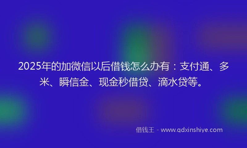 2025年的加微信以后借钱怎么办有：支付通、多米、瞬信金、现金秒借贷、滴水贷等。