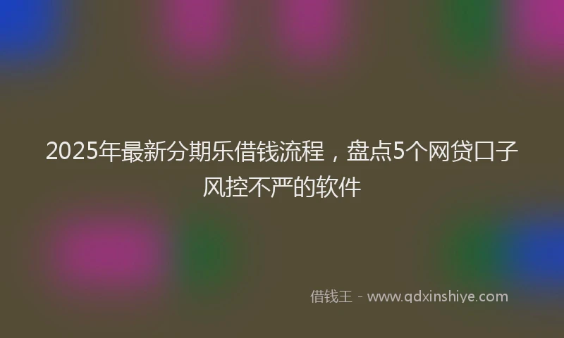 2025年最新分期乐借钱流程，盘点5个网贷口子风控不严的软件