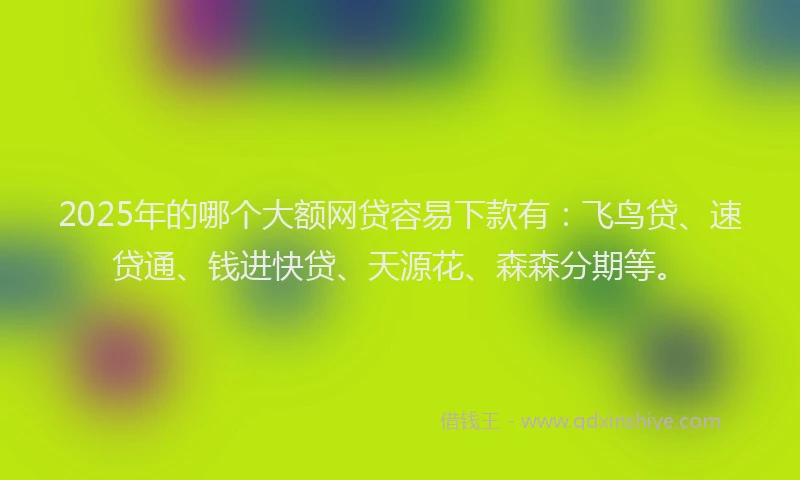 2025年的哪个大额网贷容易下款有：飞鸟贷、速贷通、钱进快贷、天源花、森森分期等。