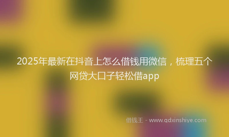 2025年最新在抖音上怎么借钱用微信，梳理五个网贷大口子轻松借app