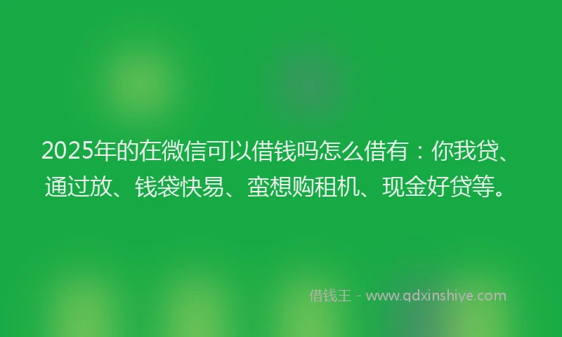 2025年的在微信可以借钱吗怎么借有：你我贷、通过放、钱袋快易、蛮想购租机、现金好贷等。