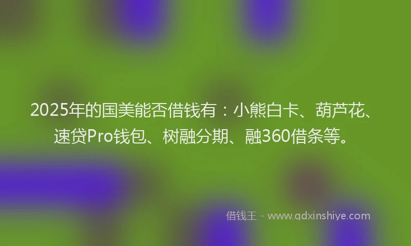 2025年的国美能否借钱有：小熊白卡、葫芦花、速贷Pro钱包、树融分期、融360借条等。