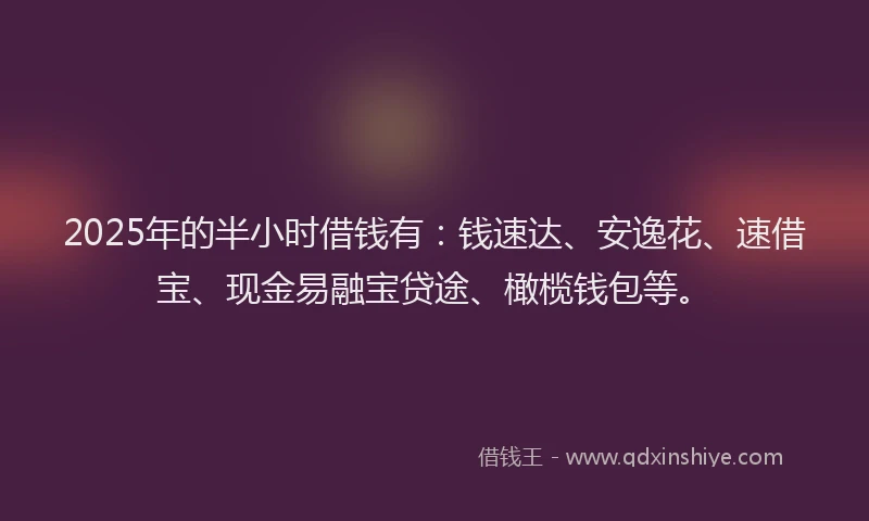 2025年的半小时借钱有：钱速达、安逸花、速借宝、现金易融宝贷途、橄榄钱包等。