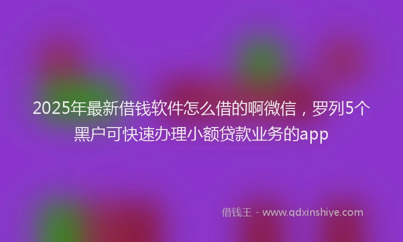 2025年最新借钱软件怎么借的啊微信，罗列5个黑户可快速办理小额贷款业务的app