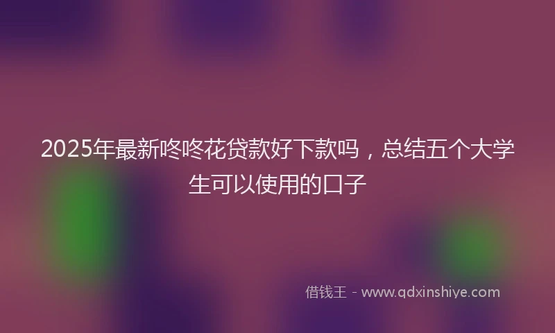 2025年最新咚咚花贷款好下款吗，总结五个大学生可以使用的口子