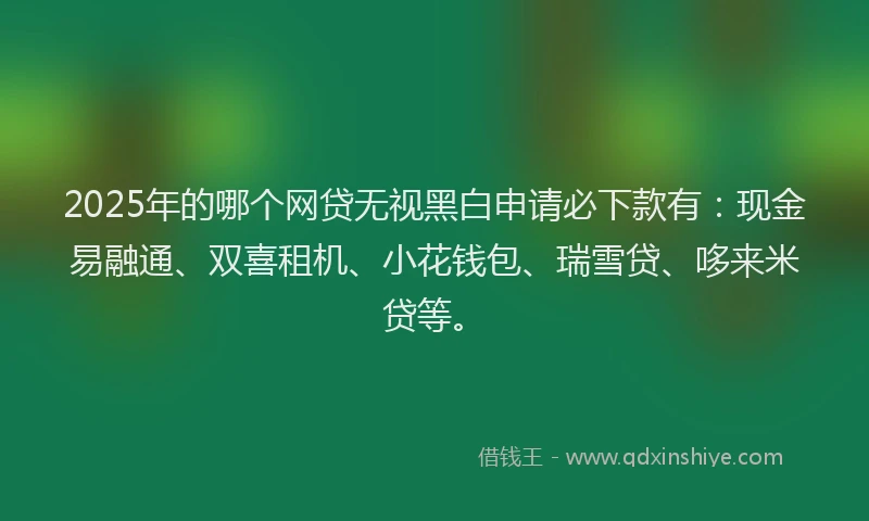 2025年的哪个网贷无视黑白申请必下款有：现金易融通、双喜租机、小花钱包、瑞雪贷、哆来米贷等。