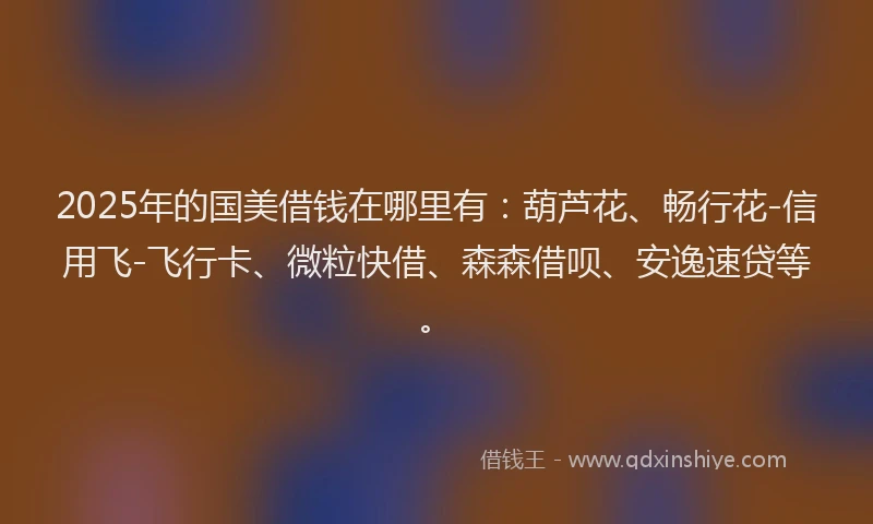 2025年的国美借钱在哪里有：葫芦花、畅行花-信用飞-飞行卡、微粒快借、森森借呗、安逸速贷等。