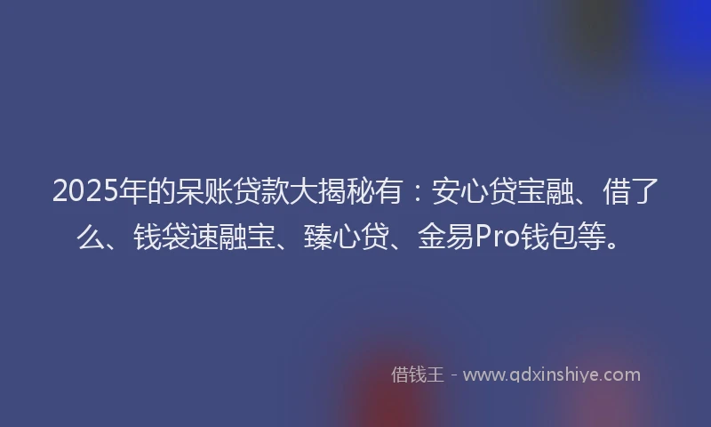 2025年的呆账贷款大揭秘有：安心贷宝融、借了么、钱袋速融宝、臻心贷、金易Pro钱包等。
