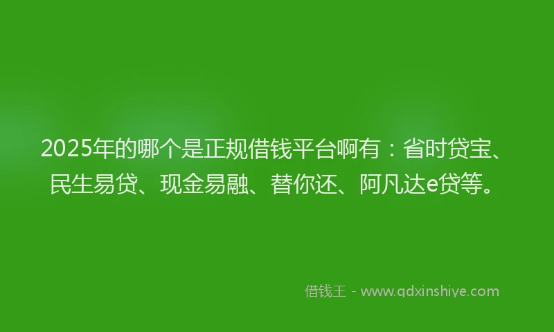 2025年的哪个是正规借钱平台啊有：省时贷宝、民生易贷、现金易融、替你还、阿凡达e贷等。