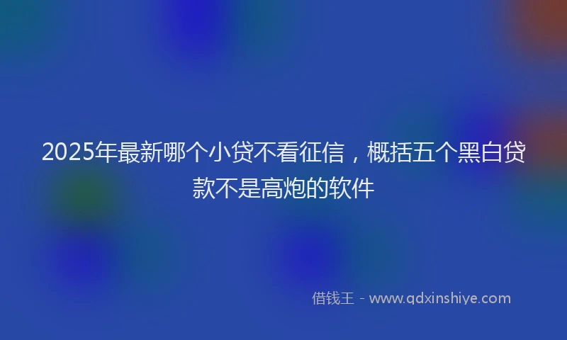 2025年最新哪个小贷不看征信，概括五个黑白贷款不是高炮的软件