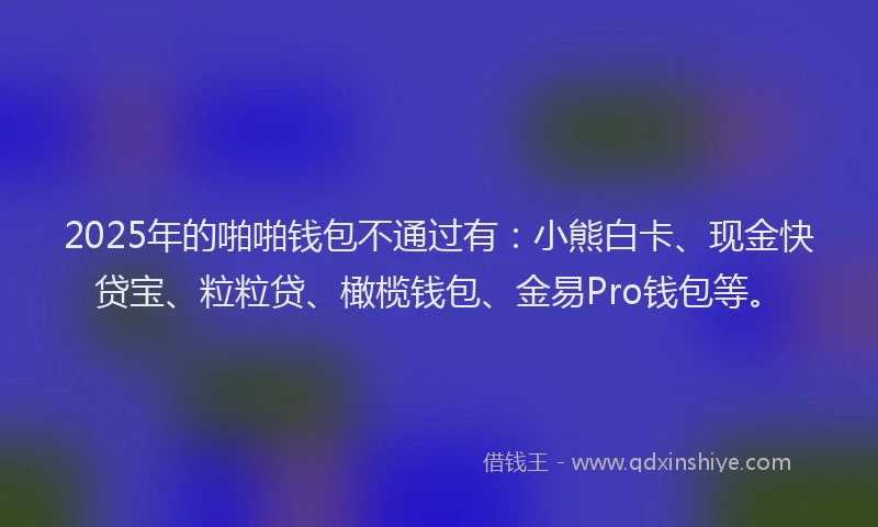 2025年的啪啪钱包不通过有：小熊白卡、现金快贷宝、粒粒贷、橄榄钱包、金易Pro钱包等。