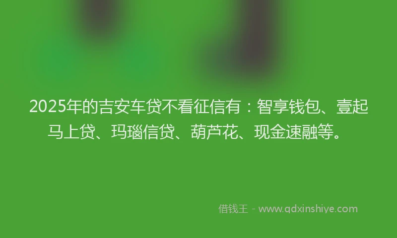 2025年的吉安车贷不看征信有：智享钱包、壹起马上贷、玛瑙信贷、葫芦花、现金速融等。