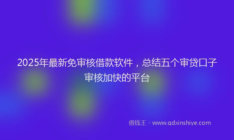 2025年最新免审核借款软件，总结五个审贷口子审核加快的平台
