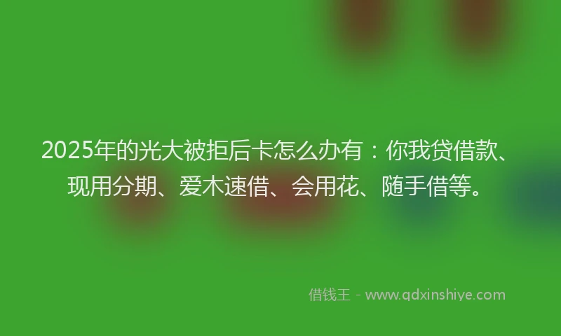 2025年的光大被拒后卡怎么办有：你我贷借款、现用分期、爱木速借、会用花、随手借等。
