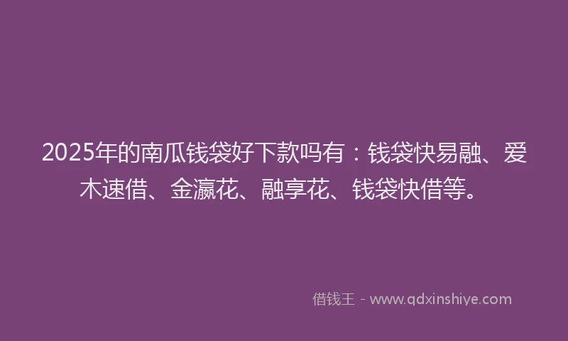 2025年的南瓜钱袋好下款吗有：钱袋快易融、爱木速借、金瀛花、融享花、钱袋快借等。
