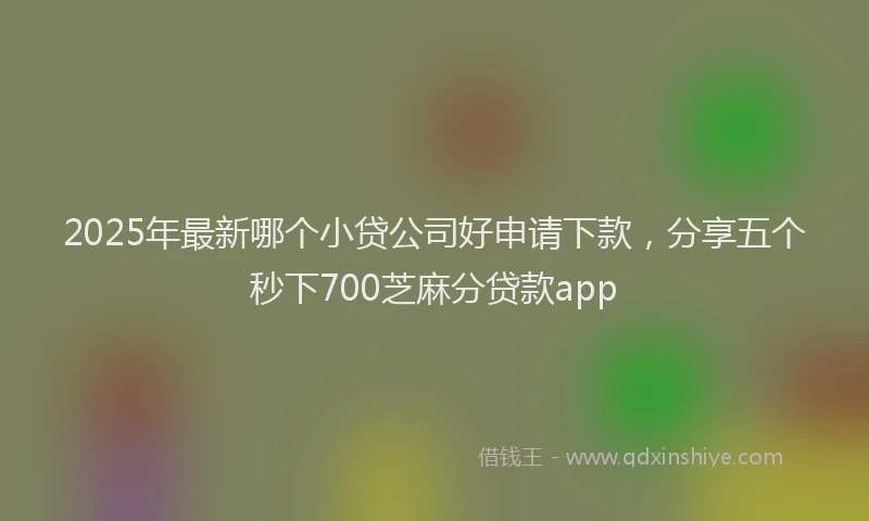 2025年最新哪个小贷公司好申请下款，分享五个秒下700芝麻分贷款app