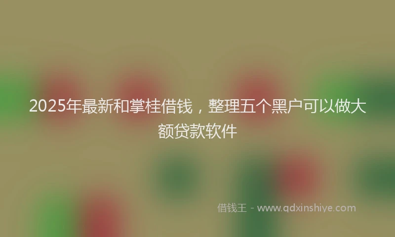 2025年最新和掌桂借钱，整理五个黑户可以做大额贷款软件
