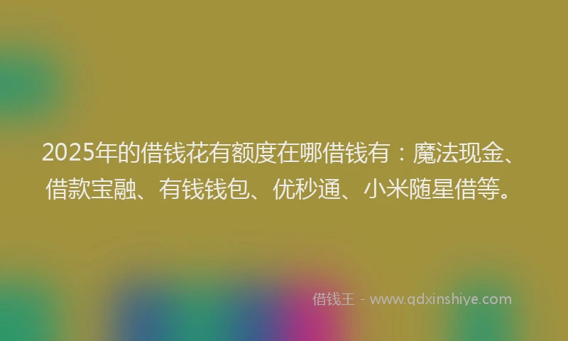 2025年的借钱花有额度在哪借钱有：魔法现金、借款宝融、有钱钱包、优秒通、小米随星借等。
