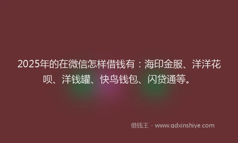 2025年的在微信怎样借钱有：海印金服、洋洋花呗、洋钱罐、快鸟钱包、闪贷通等。