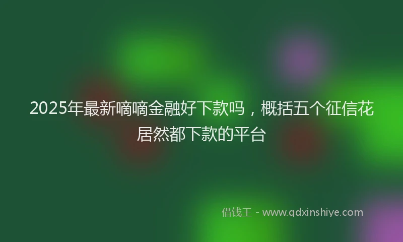 2025年最新嘀嘀金融好下款吗，概括五个征信花居然都下款的平台