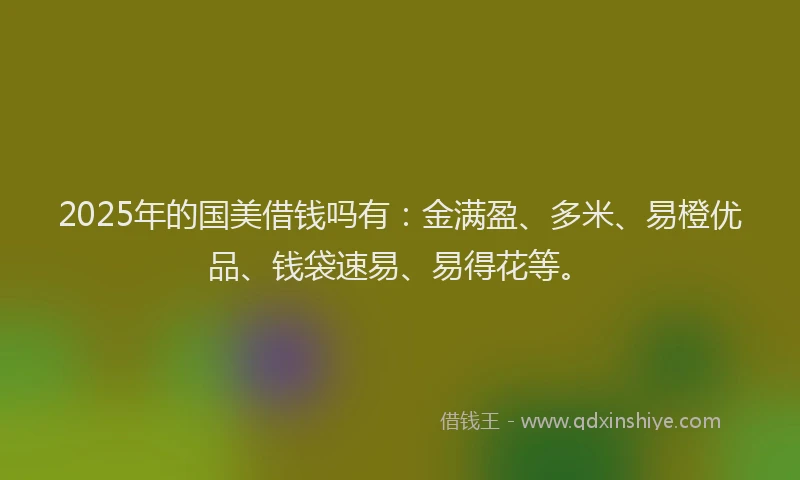 2025年的国美借钱吗有：金满盈、多米、易橙优品、钱袋速易、易得花等。