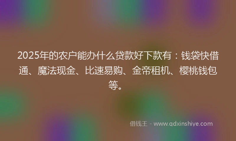 2025年的农户能办什么贷款好下款有：钱袋快借通、魔法现金、比速易购、金帝租机、樱桃钱包等。