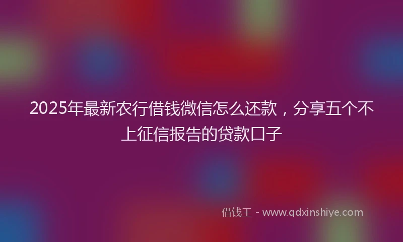 2025年最新农行借钱微信怎么还款，分享五个不上征信报告的贷款口子