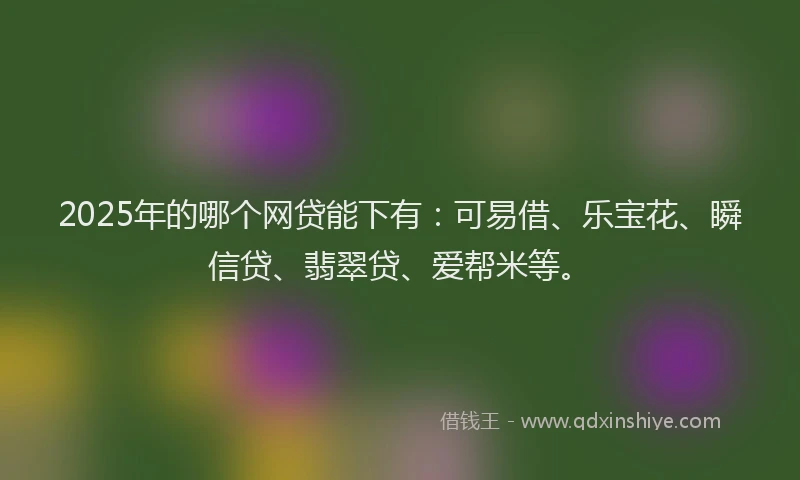 2025年的哪个网贷能下有：可易借、乐宝花、瞬信贷、翡翠贷、爱帮米等。